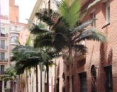 Ático con terraza y mucho sol